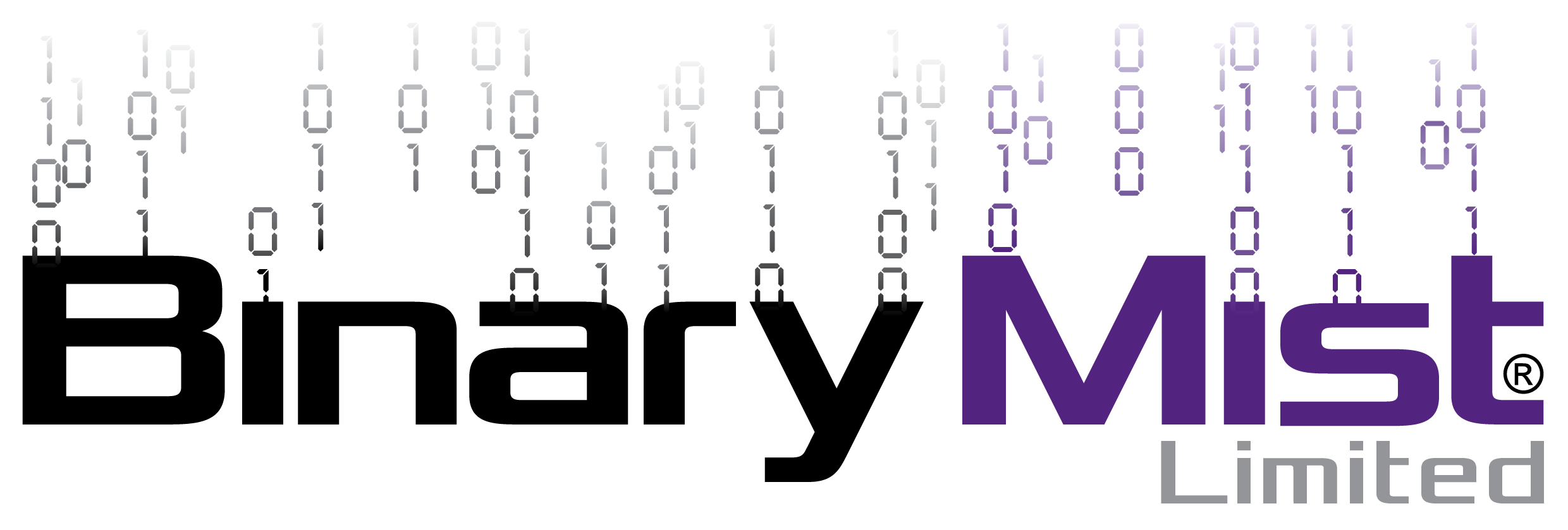 Logo-BinaryMist